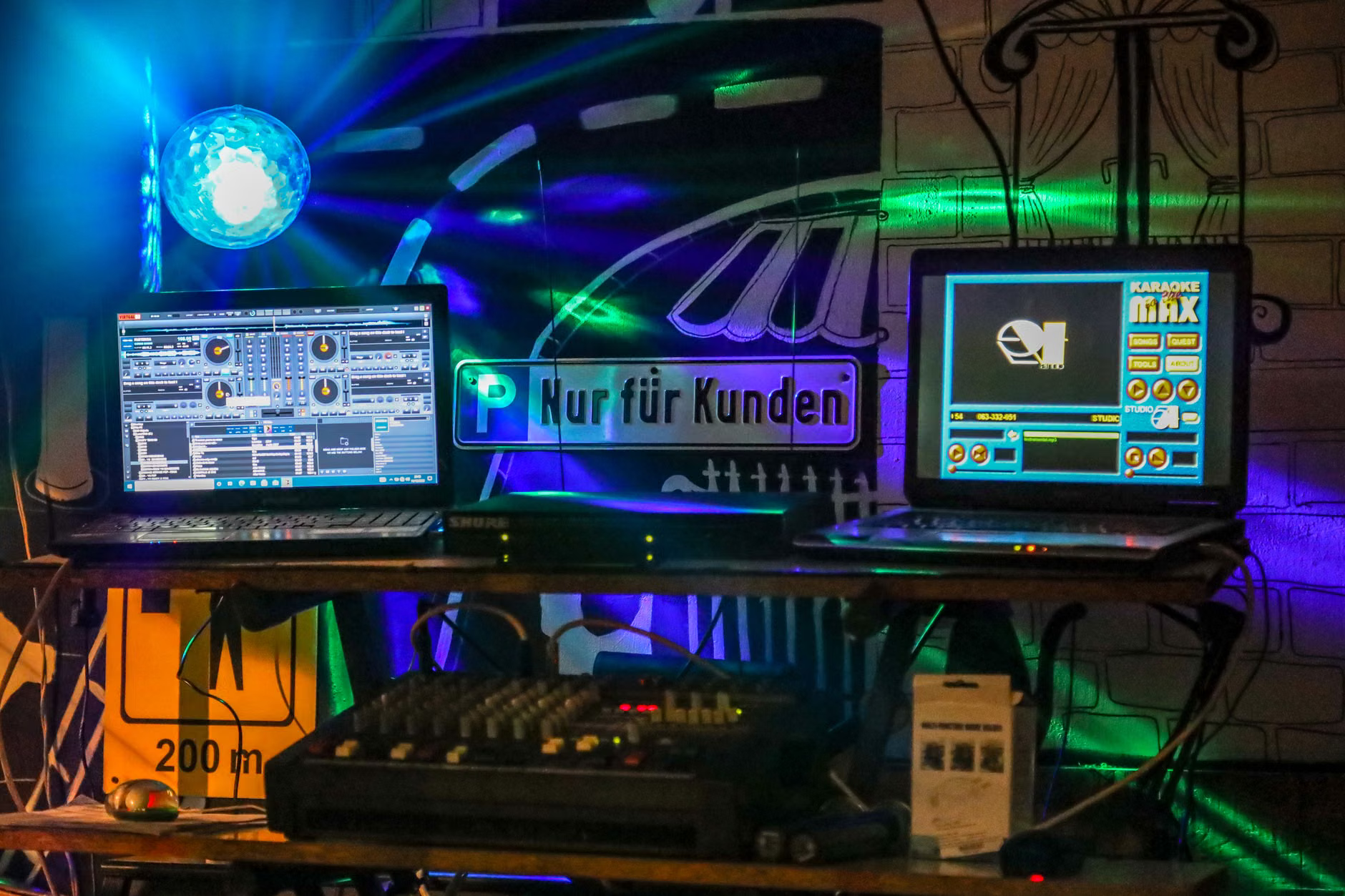 themed karaoke party