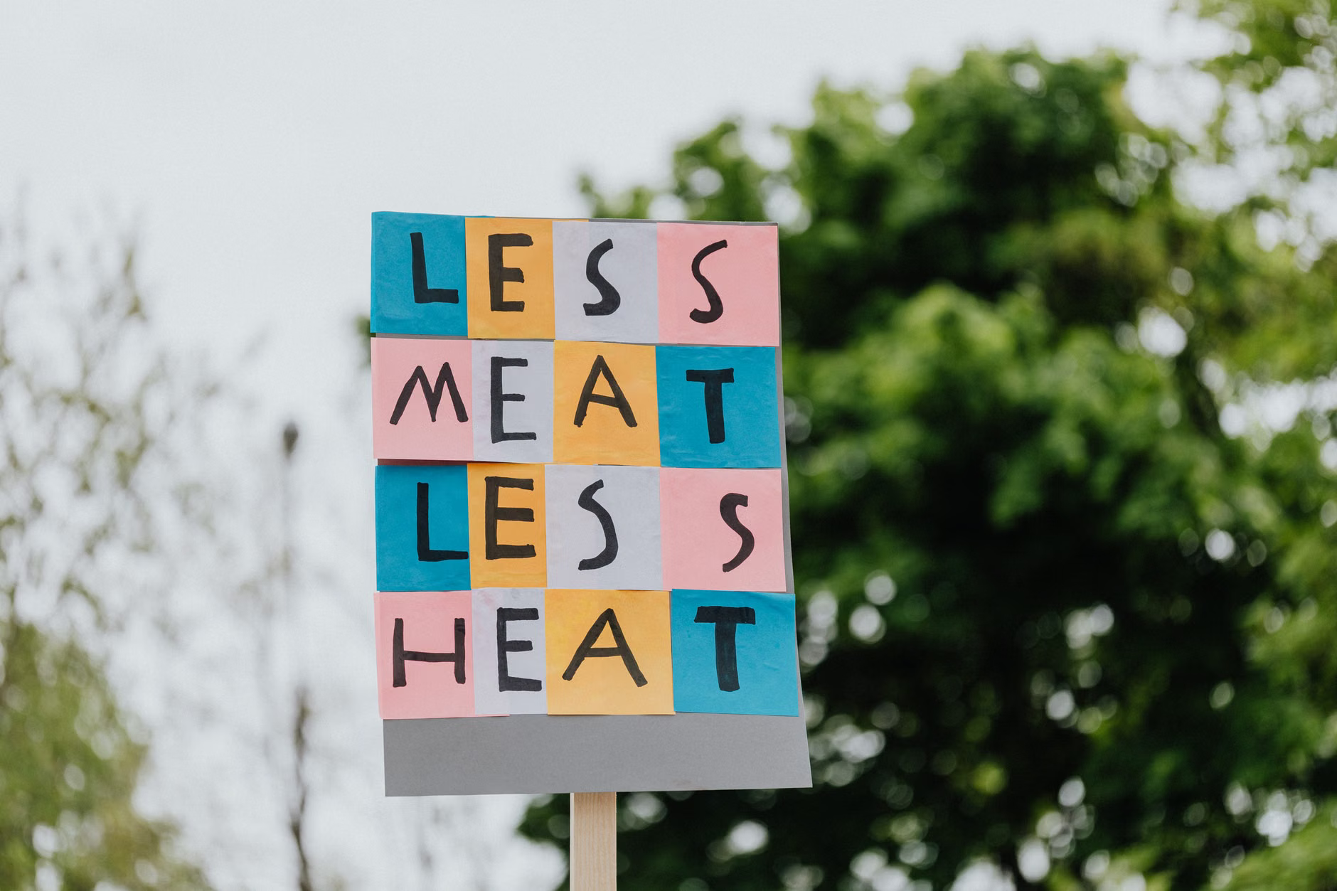 vegan protest food