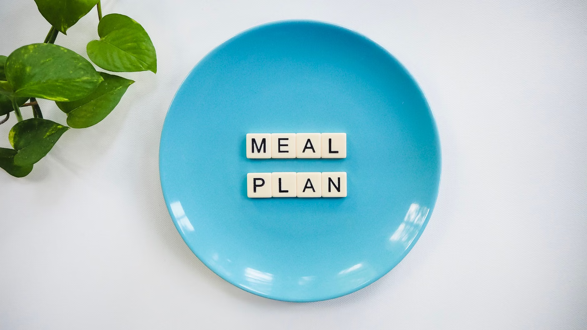 vegan meal plan
