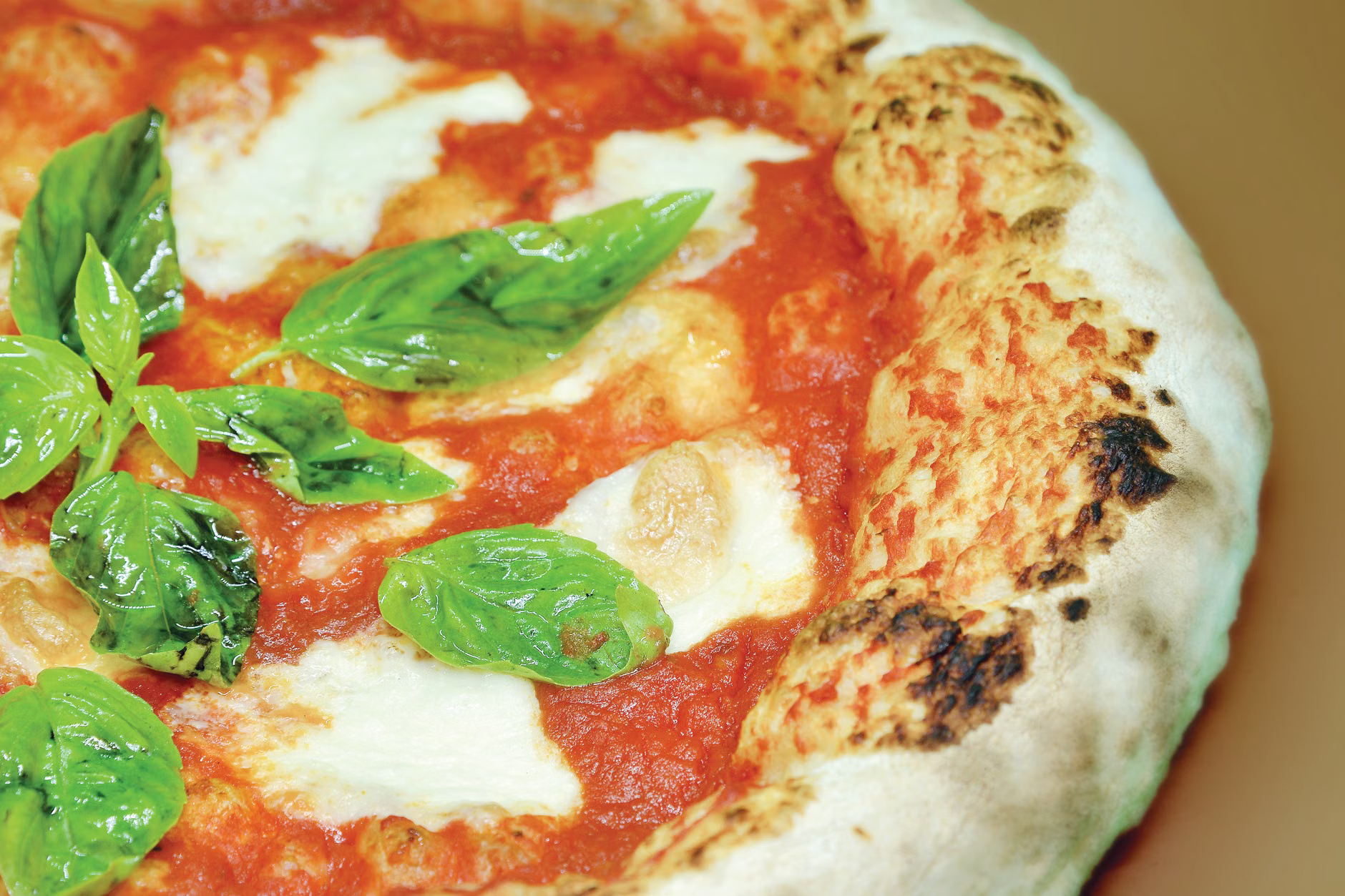 Neapolitan pizza oven