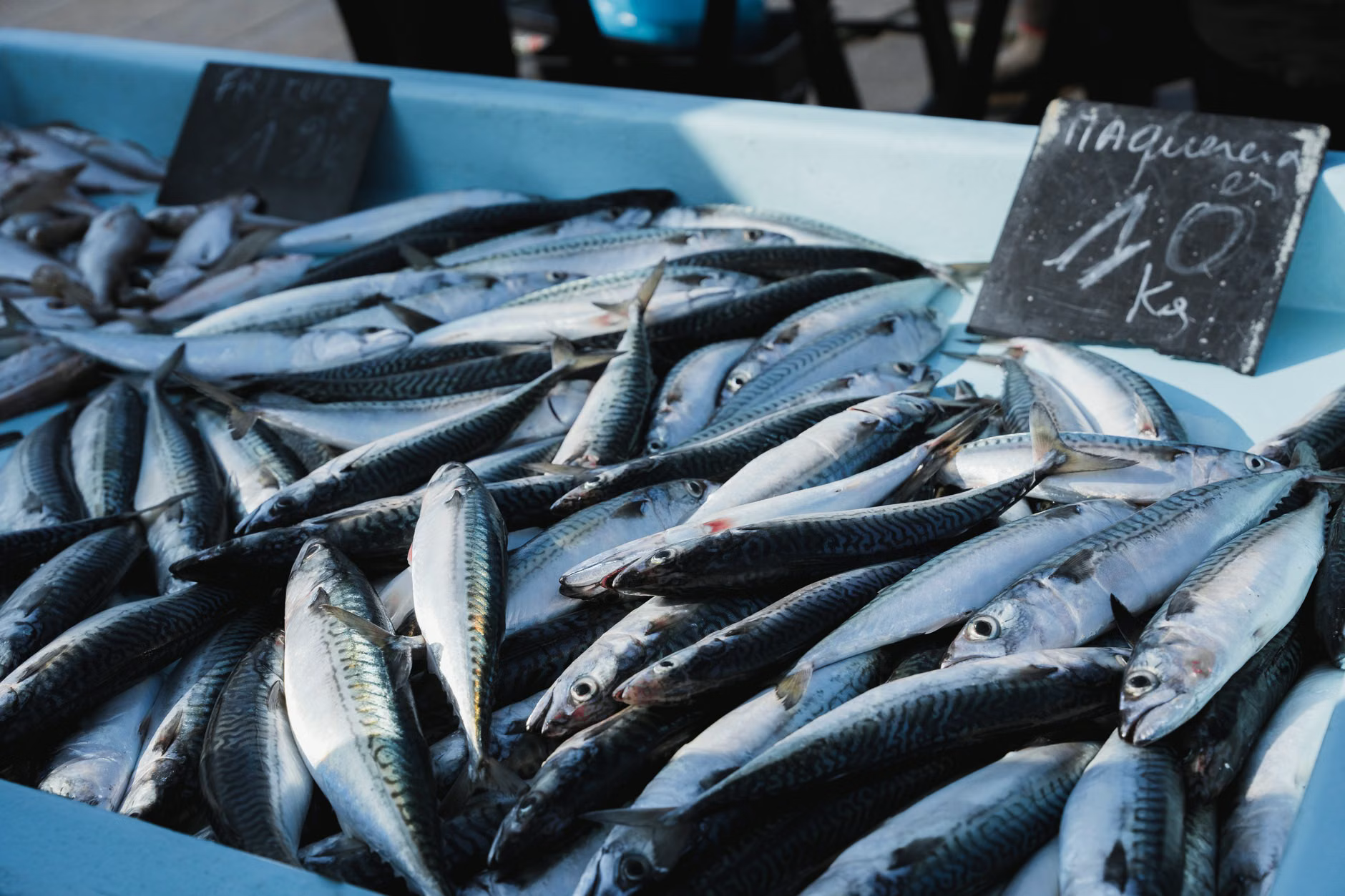 sustainable fish market