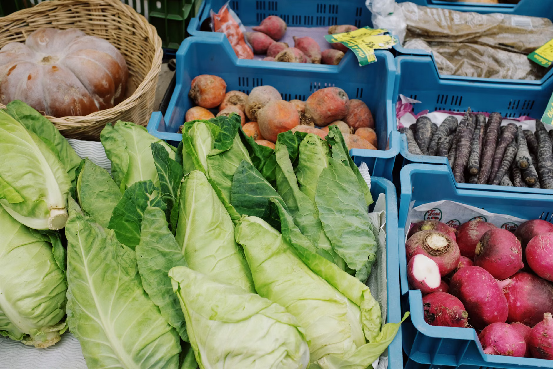 Farmers Market Vegan: 7 Seasonal Recipes from LA's Best Markets