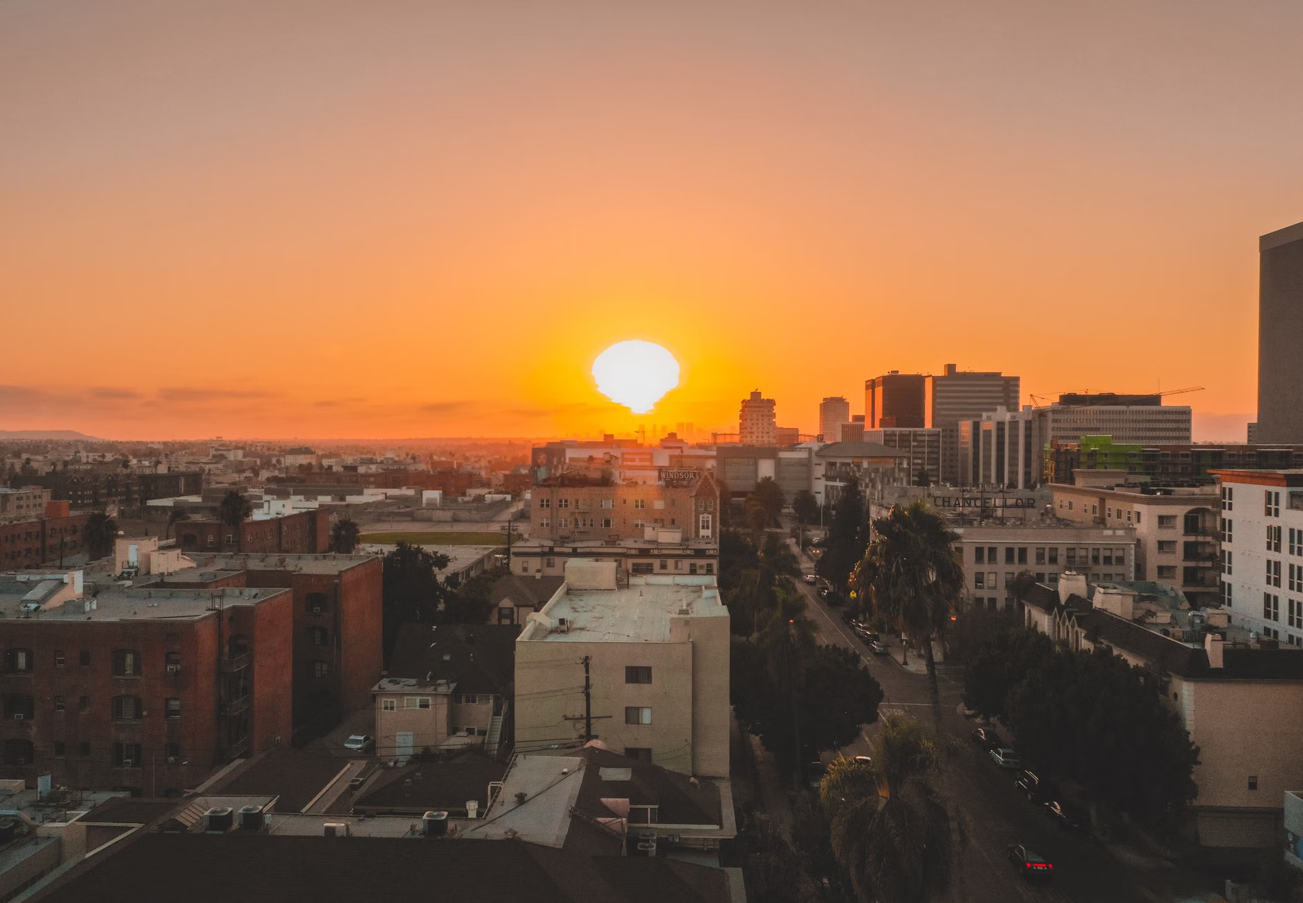 Chasing the Golden Hour: LA's Top Rooftop Bars for Sunset