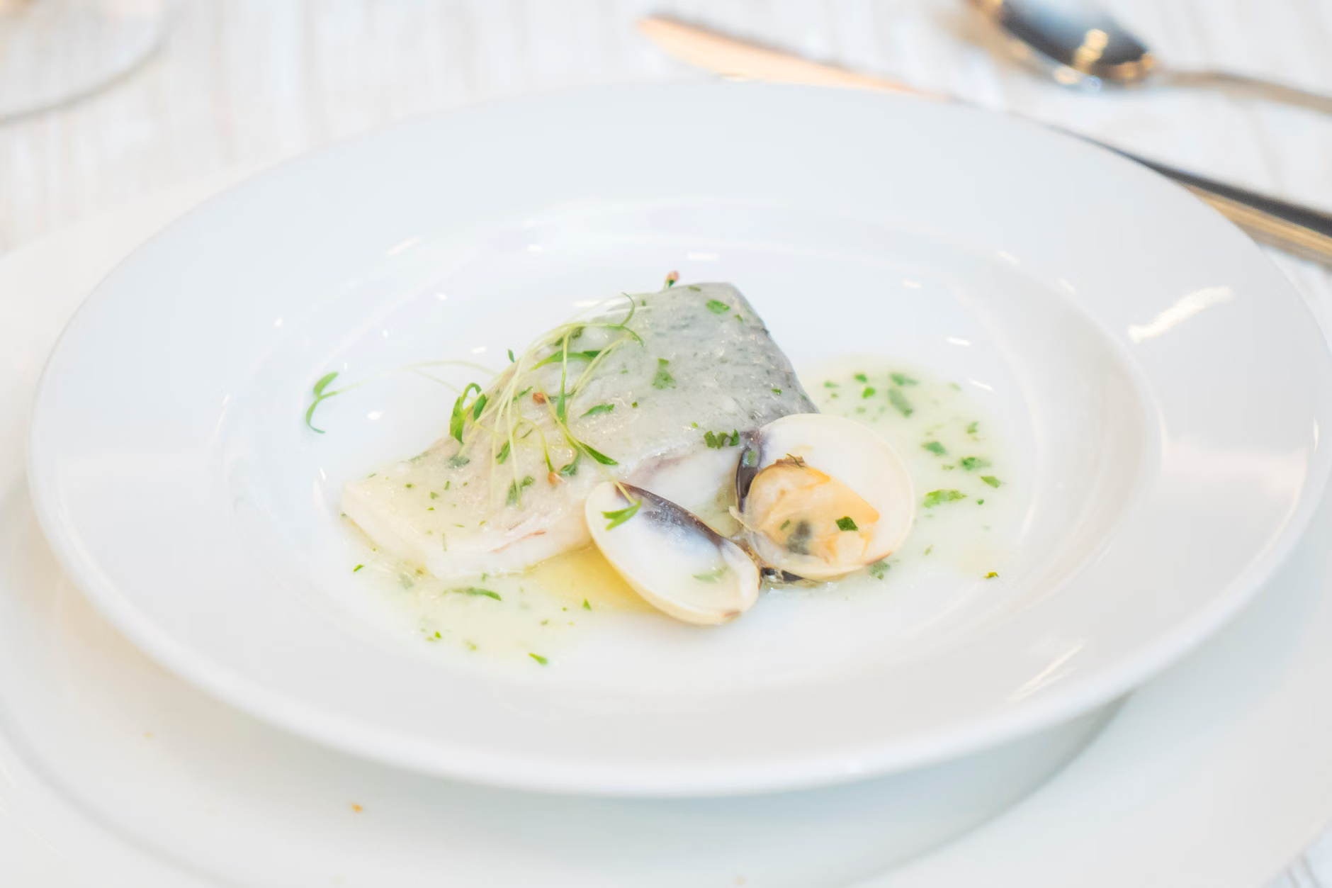 gourmet seafood plated dish