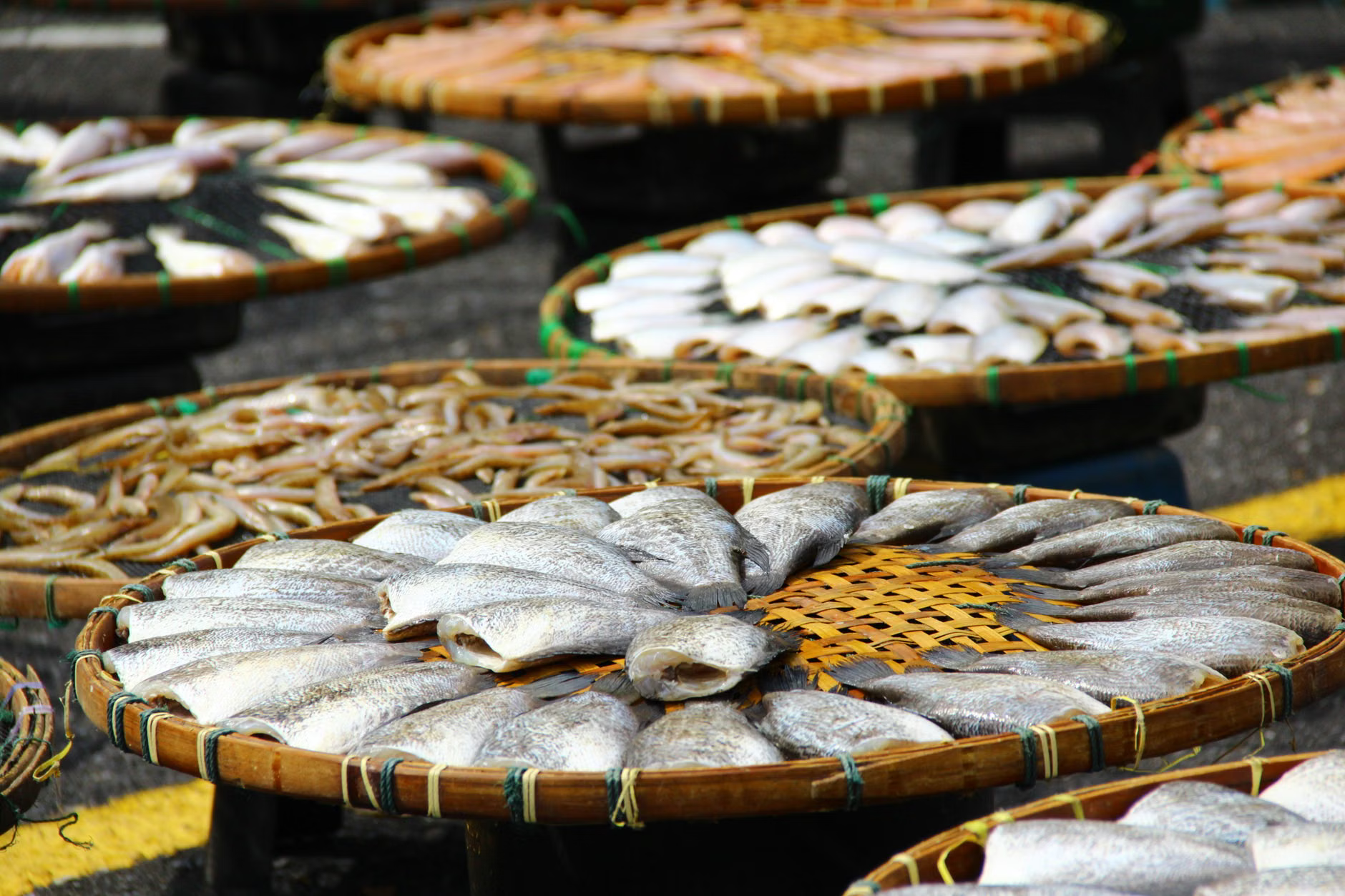 sustainable fish market
